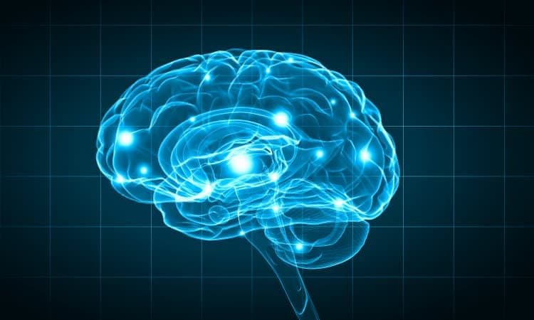 La riabilitazione neuropsicologica dell'adulto con cerebrolesione acquisita