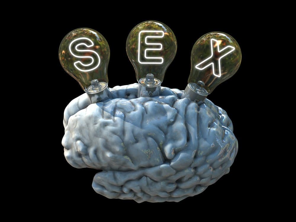 Il cervello sessuale